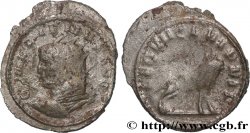 GALLIEN Antoninien TTB