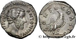 DIVUS ANTONINUS PIUS Denier