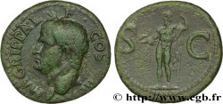 AGRIPPA As