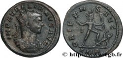 AURELIANUS Aurelianus fVZ