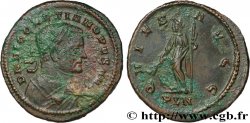 DIOCLÉTIEN Follis ou nummus
