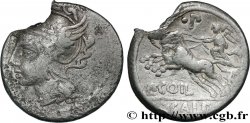 COELIA Denier