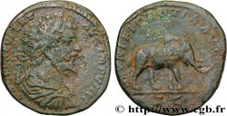 SEPTIMIO SEVERO Sesterce