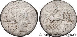PAPIRIA Denier