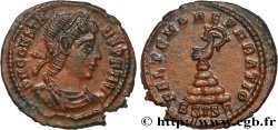 CONSTANS Demi-maiorina
