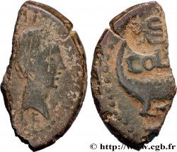 NEMAUSUS - NÎMES Dupondius COL NEM (as), coupé en deux