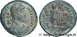 CONSTANS Maiorina