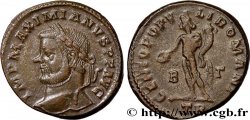 MAXIMIEN HERCULE Follis ou nummus