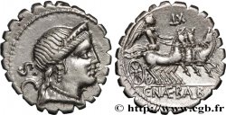 NAEVIA Denier serratus