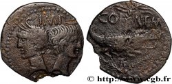 NEMAUSUS - NIMES - AUGUSTUS and AGRIPPA Dupondius COL NEM (as) VF