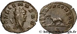 GALLIENUS Antoninien