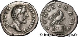 DIVUS ANTONINUS PIUS Denier