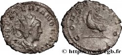 VALERIANUS II Antoninien