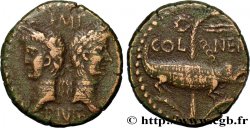 AUGUSTUS and AGRIPPA Dupondius COL NEM (as)