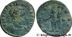 MAXIMINO II DAZA Follis ou nummus