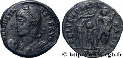 CONSTANS Maiorina