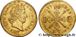 LOUIS XIV  THE SUN KING  Louis d or aux insignes 1704 Grenoble