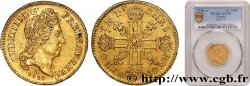 LOUIS XIV  THE SUN KING  Demi-louis d or au soleil 1710 Paris EBC55