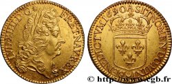 LOUIS XIV  THE SUN KING  Double louis d or à l écu 1690  Paris AU