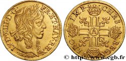 LOUIS XIII LE JUSTE Louis d or aux huit L (effigie de Jean Warin) 1641 Paris, Monnaie du Louvre