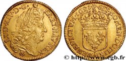 LOUIS XIV LE GRAND OU LE ROI SOLEIL Louis d&nbsp;or à l&nbsp;écu 1691 Dijon