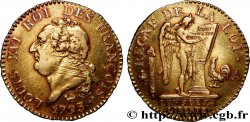 LOUIS XVI (MONARQUE CONSTITUTIONNEL)  Louis d’or au génie 1793 Paris TTB/TTB+