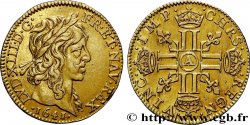 LOUIS XIII LE JUSTE Demi-louis d&nbsp;or aux huit L (effigie de Jean Warin) 1641 Paris