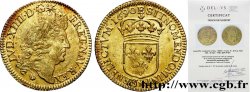 LOUIS XIV LE GRAND OU LE ROI SOLEIL Louis d&nbsp;or à l&nbsp;écu 1690 Tours