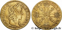 LOUIS XIII LE JUSTE Demi-louis d&nbsp;or aux huit L (effigie de Jean Warin) 1643 Paris