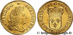 LOUIS XIV LE GRAND OU LE ROI SOLEIL Louis d&nbsp;or à l&nbsp;écu 1691 Riom