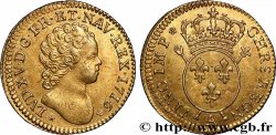 LOUIS XV DIT LE BIEN AIMÉ Louis d&nbsp;or aux insignes 1716 Paris SUP62