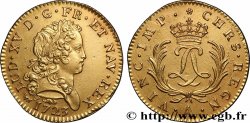 LOUIS XV DIT LE BIEN AIMÉ Double louis d’or aux deux L entrelacées et aux palmes 1723 Paris SUP