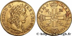 LOUIS XIII  Demi-louis d&nbsp;or aux huit L (effigie de Jean Warin) 1643 Paris BB/q.SPL