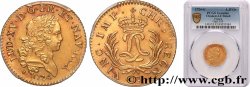 LOUIS XV DIT LE BIEN AIMÉ Louis d&nbsp;or aux deux L entrelacées et aux palmes longues 1724 Poitiers SUP