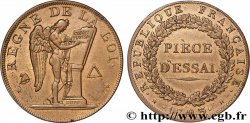 THE CONVENTION Pièce d’essai au module de 2 sols 1793  AU/AU