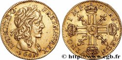 LOUIS XIII LE JUSTE Demi-louis d&nbsp;or aux huit L (effigie de Jean Warin) 1641 Paris TTB+/SUP