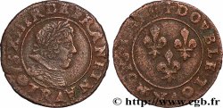 LOUIS XIII  Double tournois, type 8 s.m. Saint-André de Villeneuve-lès-Avignon