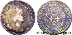 LOUIS XIV &nbsp;THE SUN KING&nbsp; Demi-écu aux palmes 1695 Lyon