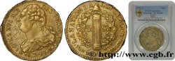 LOUIS XVI (MONARQUE CONSTITUTIONNEL)  2 sols dit  au faisceau , type FRANÇOIS 1791 Paris
