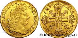 LOUIS XIV LE GRAND OU LE ROI SOLEIL Louis d’or aux huit L, portrait à la tête âgée et laurée 1684 Paris SUP/SPL
