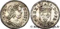LOUIS XIV  THE SUN KING  Quarante-huitième d’écu à la mèche courte 1644 Paris