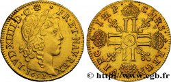 LOUIS XIV  THE SUN KING  Louis d’or aux huit L, portrait à la mèche longue 1652 Paris
