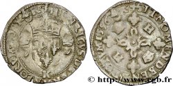 HENRI II Douzain aux croissants, légende fautive au revers 1556 Bordeaux