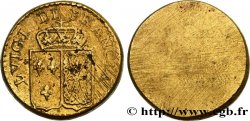 LOUIS XVI Poids monétaire pour le double louis d’or aux écus accolés n.d. 