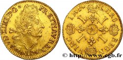 LOUIS XIV LE GRAND OU LE ROI SOLEIL Double louis d or aux quatre L n.d. Paris