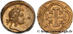 LOUIS XIV LE GRAND OU LE ROI SOLEIL Poids monétaire pour le double louis de Louis XIV n.d.  TTB