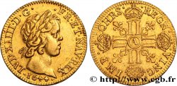 LOUIS XIV LE GRAND OU LE ROI SOLEIL Louis d or aux huit L, portrait à la mèche courte 1644 Paris, Monnaie du Louvre