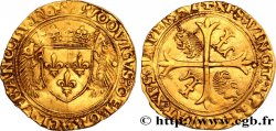 LOUIS XII LE PÈRE DU PEUPLE Écu d&nbsp;or aux porcs-épics n.d. Poitiers