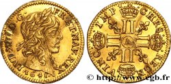 LOUIS XIII LE JUSTE Demi-louis d&nbsp;or aux huit L (effigie de Jean Warin) 1641 Paris