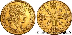 LOUIS XIII  Demi-louis d or à la mèche longue 1641 Paris